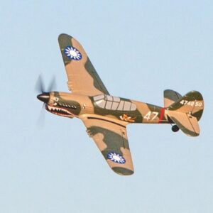 RAGE RC P-40 WARHAWK MICRO-MINI RC FLYER COMPLETE